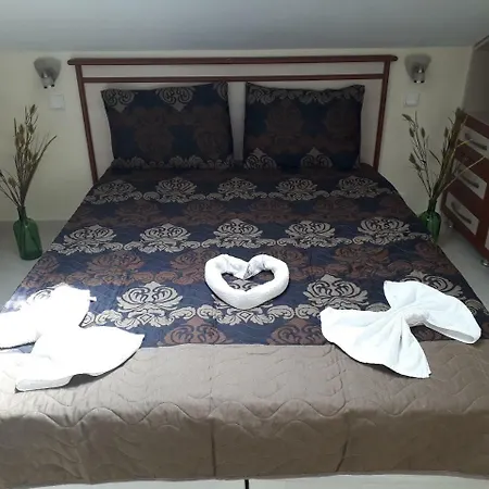 Ξενοδοχείο Nilsu *