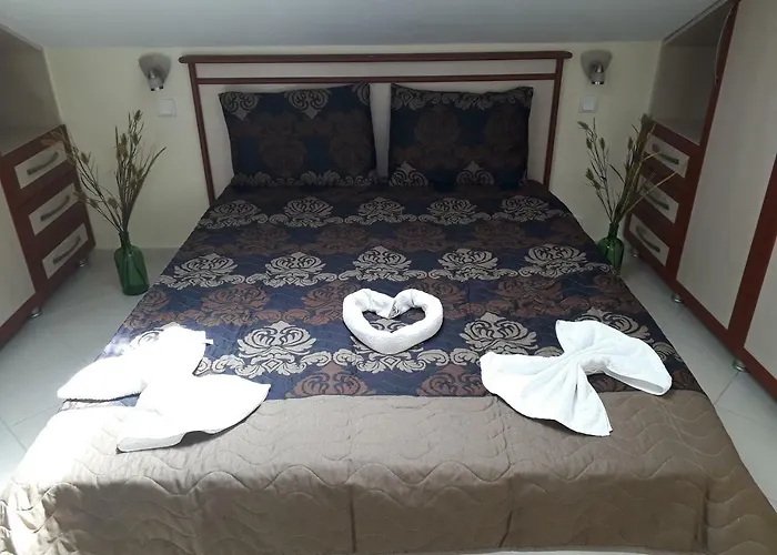 Hotel Nilsu *
